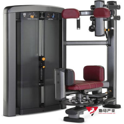 躯干式转动训练器