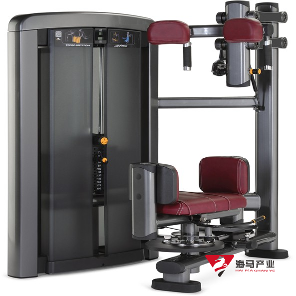 躯干式转动训练器